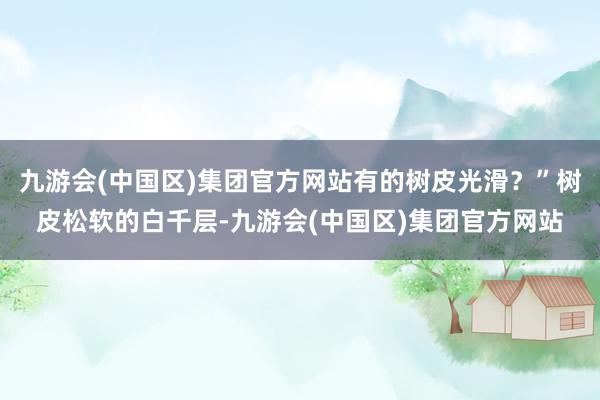 九游会(中国区)集团官方网站有的树皮光滑？”树皮松软的白千层-九游会(中国区)集团官方网站