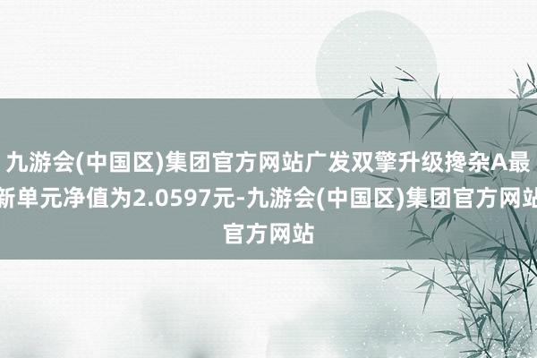 九游会(中国区)集团官方网站广发双擎升级搀杂A最新单元净值为2.0597元-九游会(中国区)集团官方网站