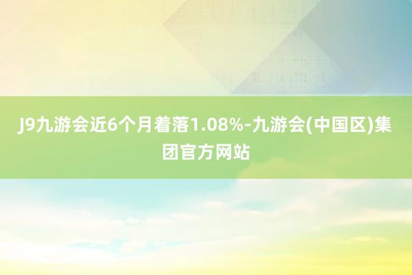 J9九游会近6个月着落1.08%-九游会(中国区)集团官方网站