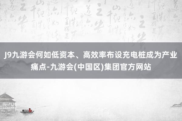 J9九游会何如低资本、高效率布设充电桩成为产业痛点-九游会(中国区)集团官方网站